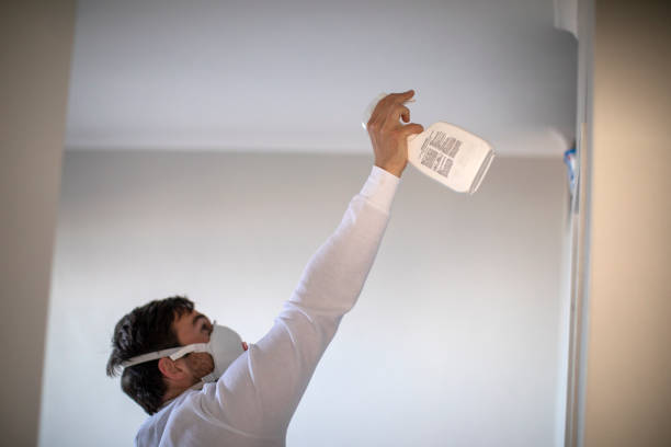 Best Certified Mold Removal  in Stonybrook, PA